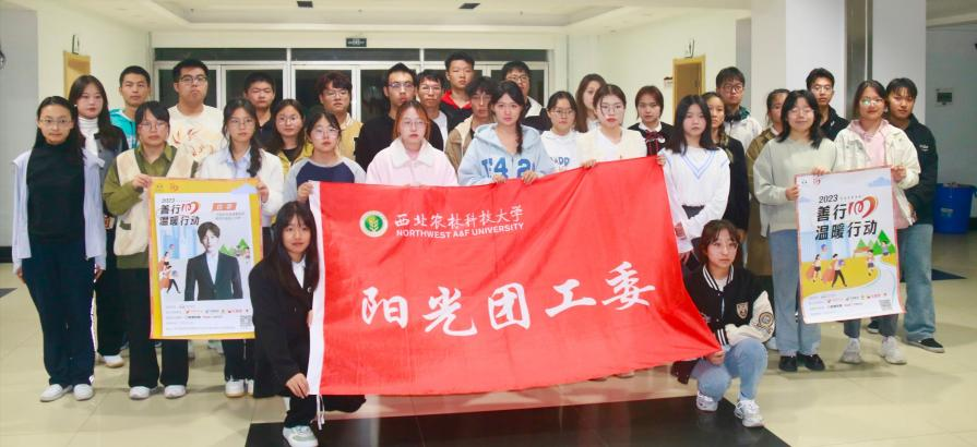 图片8.png