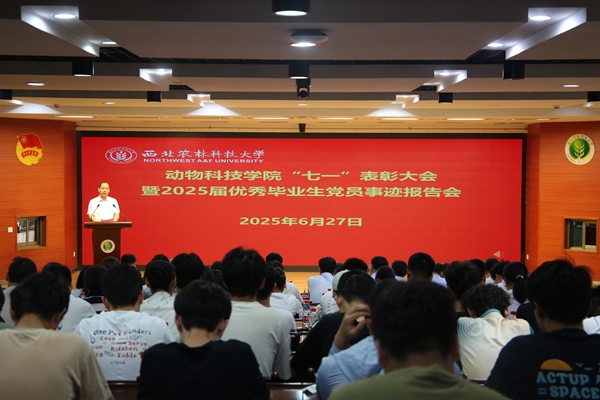 会议现场_副本.jpg